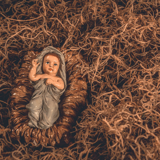 Baby Jesus in the Manger Wanderer Catholic 2020