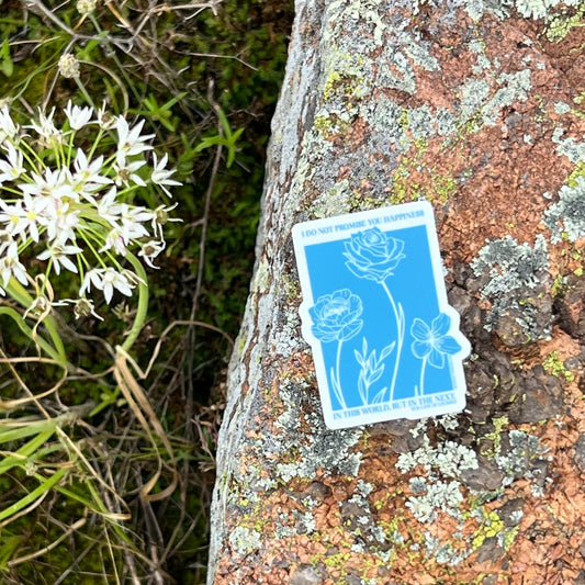 Our Lady of Lourdes Sticker