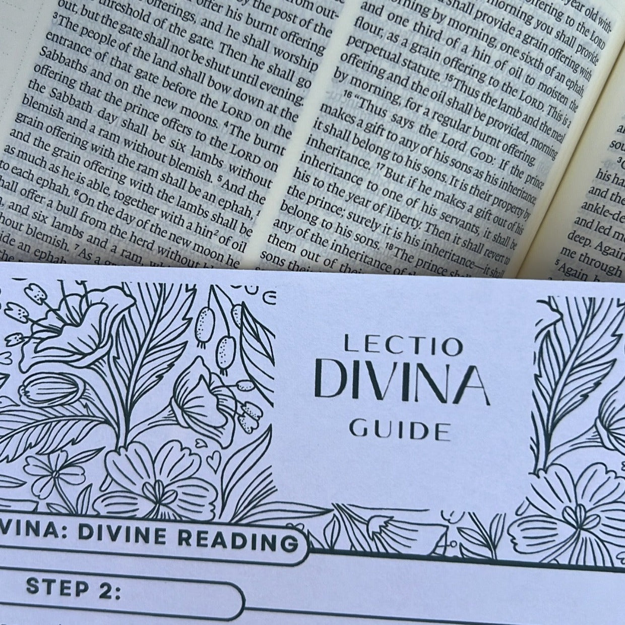 Lectio Divina Guide