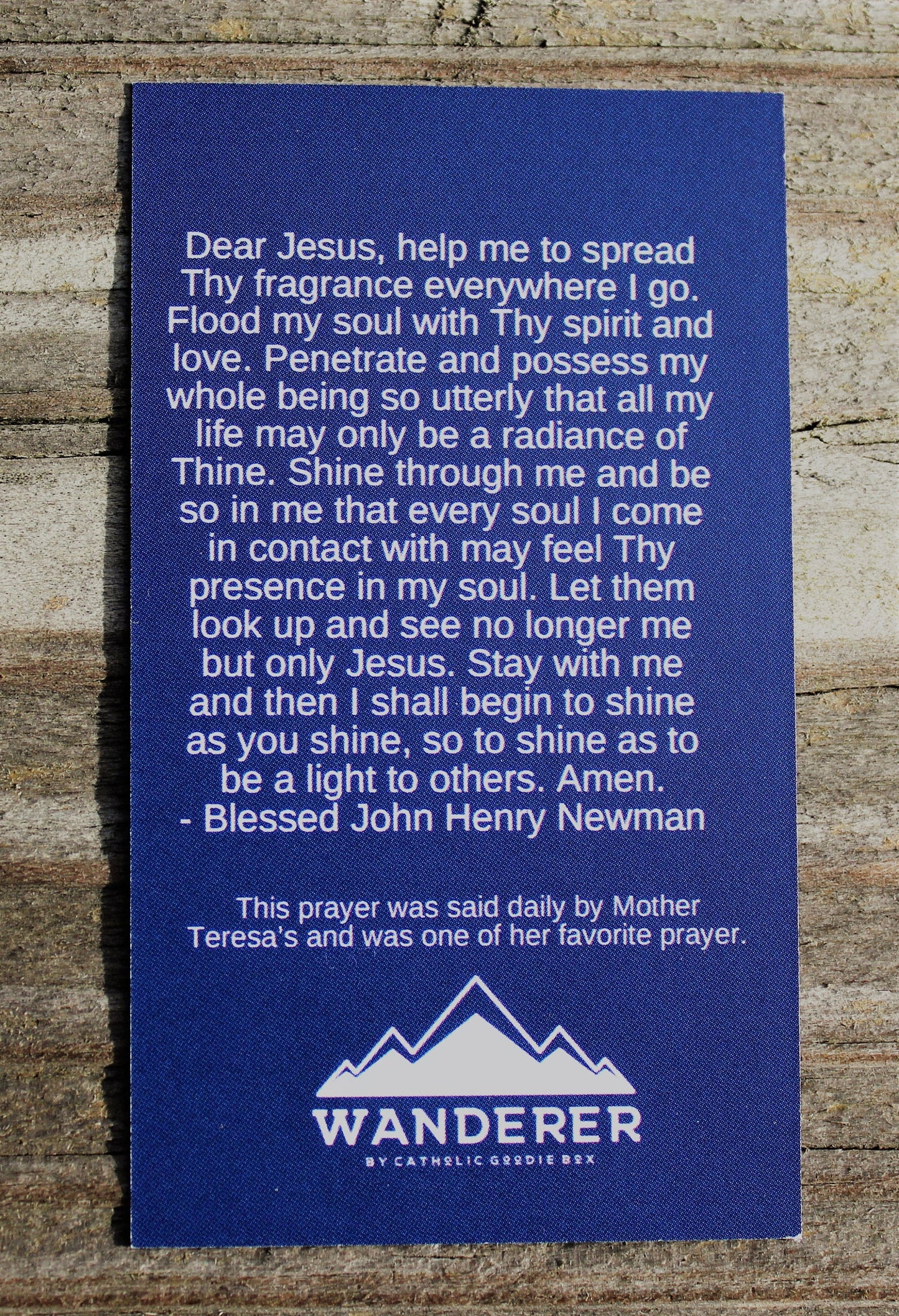 Mother Teresa We Have Only Today Prayer Card back of card