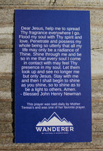 Load image into Gallery viewer, Mother Teresa We Have Only Today Prayer Card back of card
